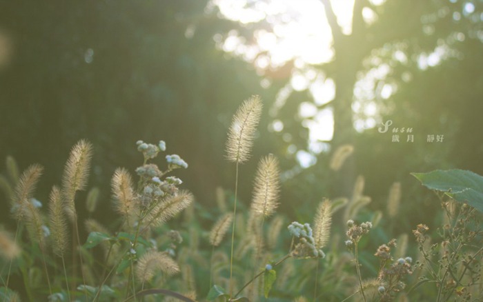 自強不息，不負青春，不負紫光
